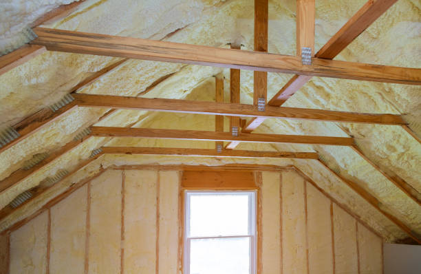 Best Insulation Contractor Near Me  in Radisson, NY