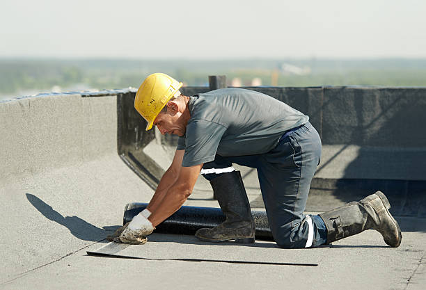 Best Insulation Contractors for Homes  in Radisson, NY